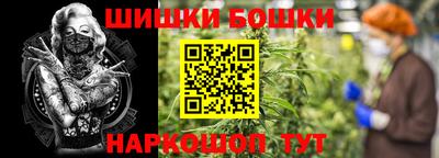 мет Новозыбков