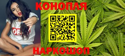 крисы Новодвинск