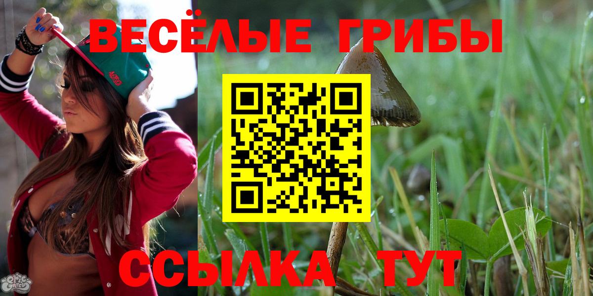 Галлюциногенные грибы мухоморы  Вход с VPN  Псилоцибиновые грибы мицелий  Асбест 