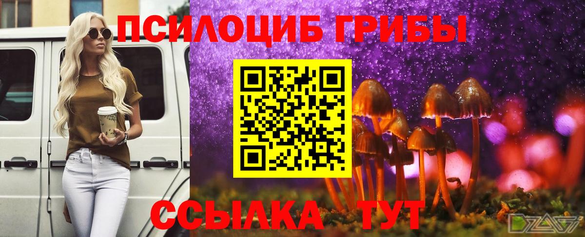 Галлюциногенные грибы прущие грибы Асбест