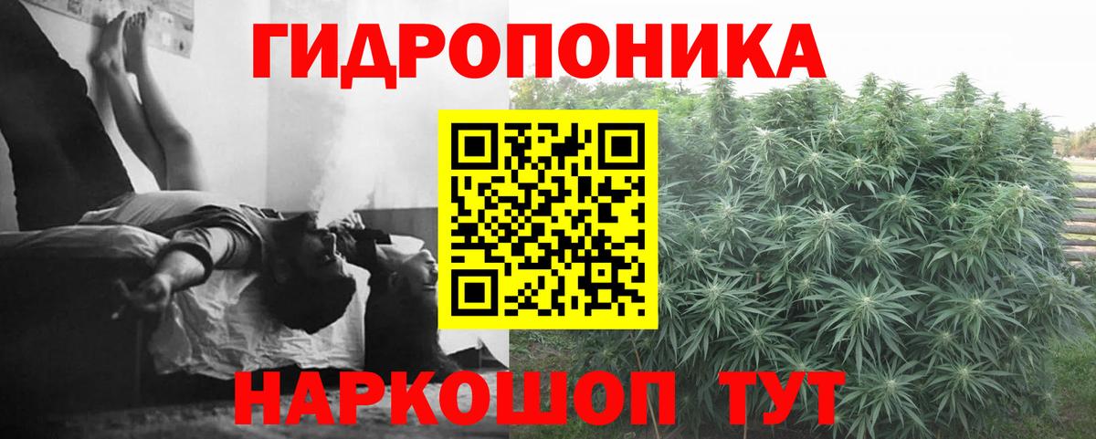 Бошки марихуана Ganja  Бошки Шишки Bruce Banner  Вход с VPN  Бошки марихуана планчик  Асбест 